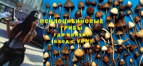 прущие грибы Арсеньев