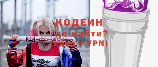 прущие грибы Арсеньев