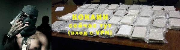 прущие грибы Арсеньев