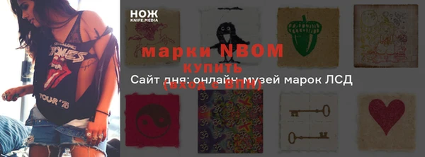 прущие грибы Арсеньев