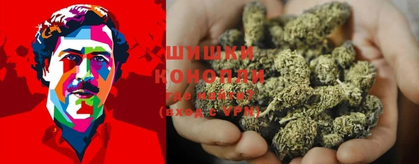 прущие грибы Арсеньев